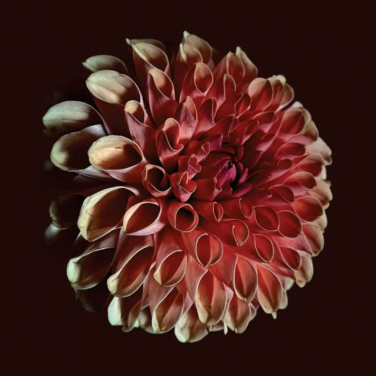 Moss, Jessica/Unfolding [Cd] 1