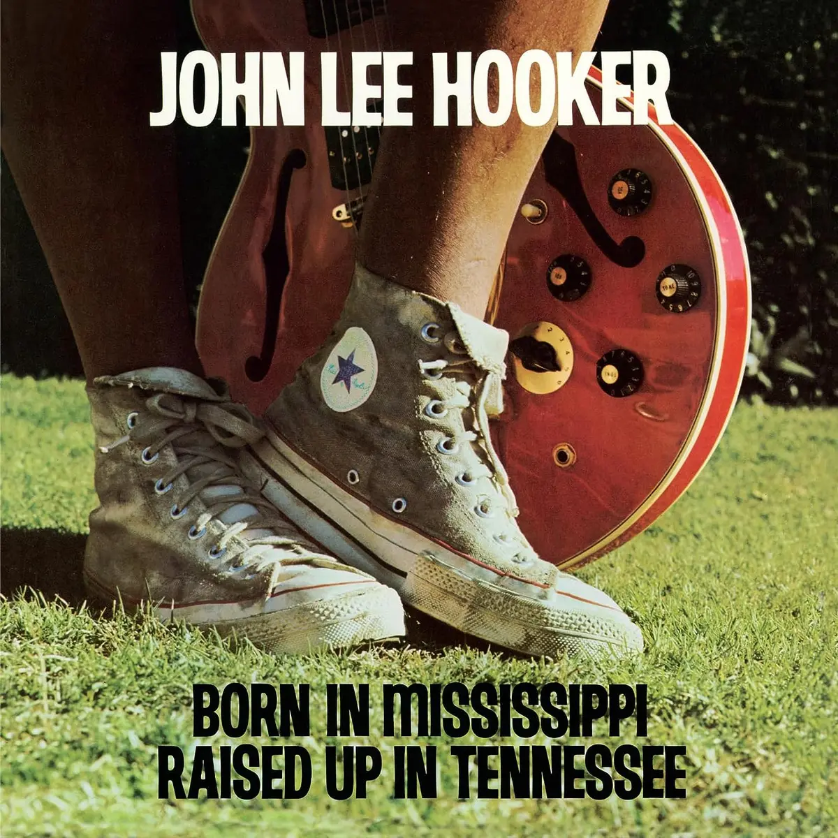 Hooker, John Lee/Born In Mississippi, Raised In Tennessee [Lp] 1