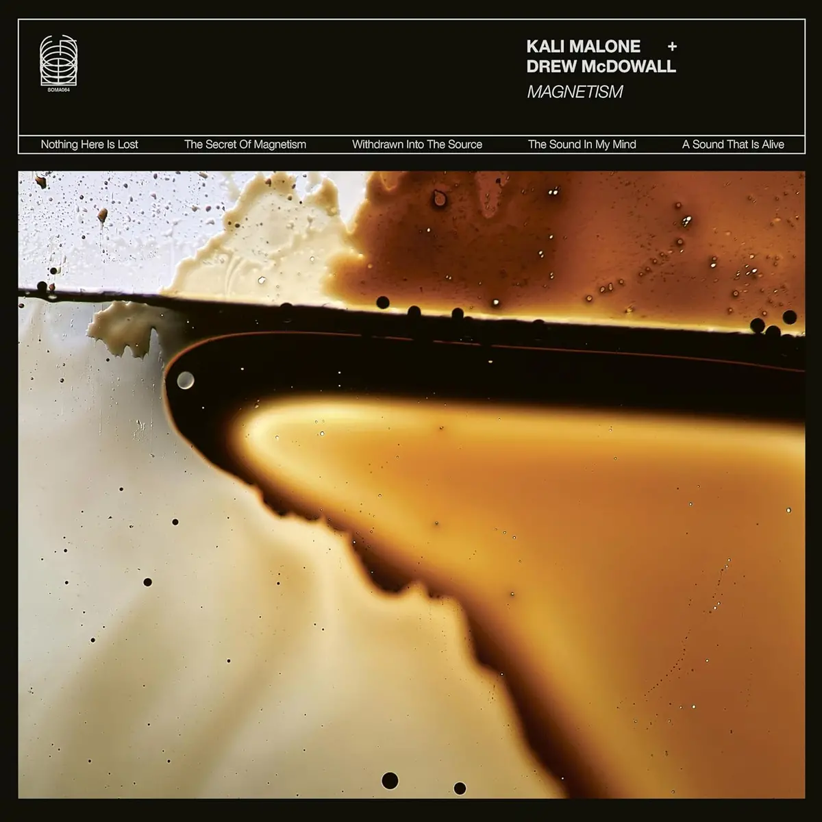 Malone, Kali & Drew Mcdowall/Magnetism [Lp] 1