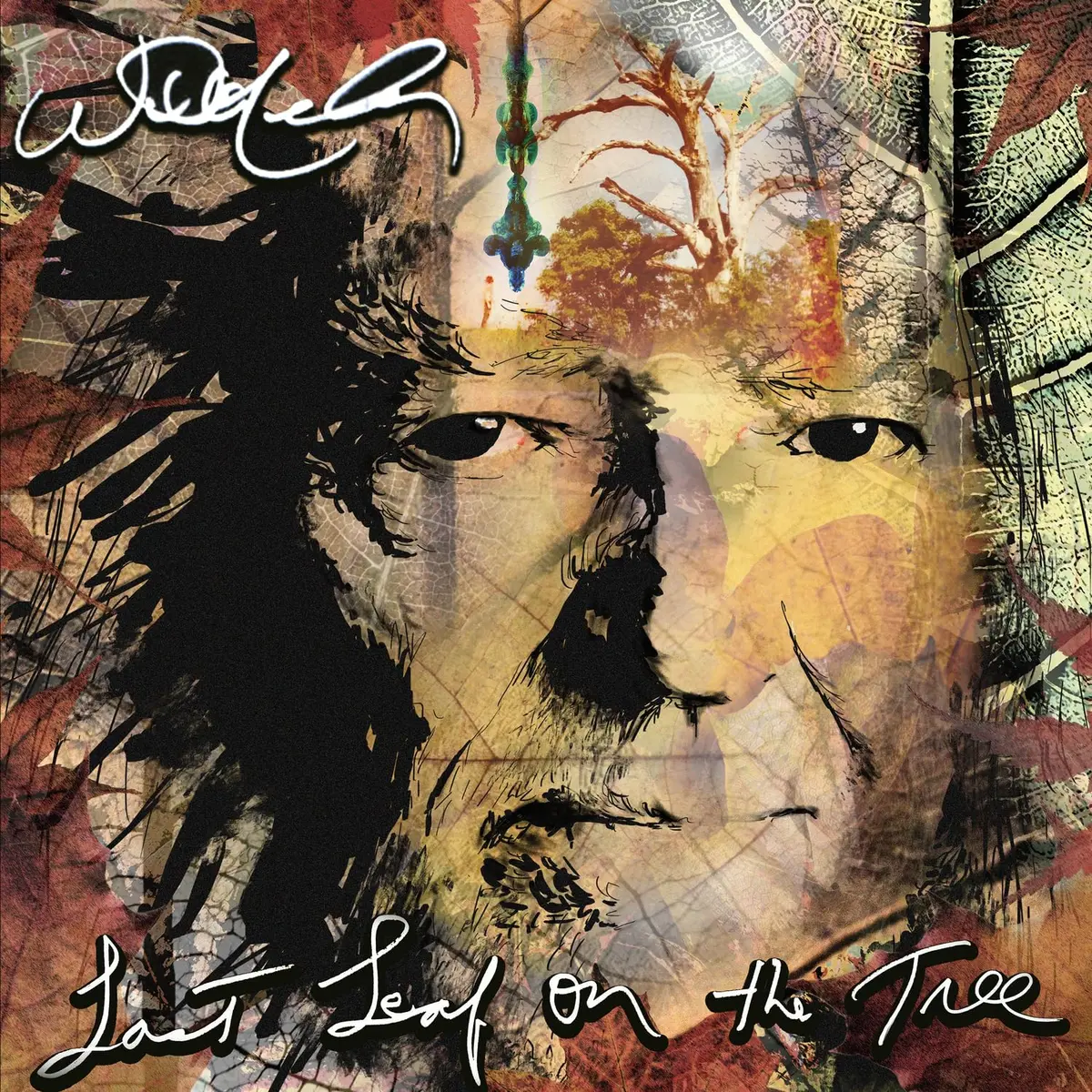 Nelson, Willie/Last Leaf On The Tree [Cd] 1