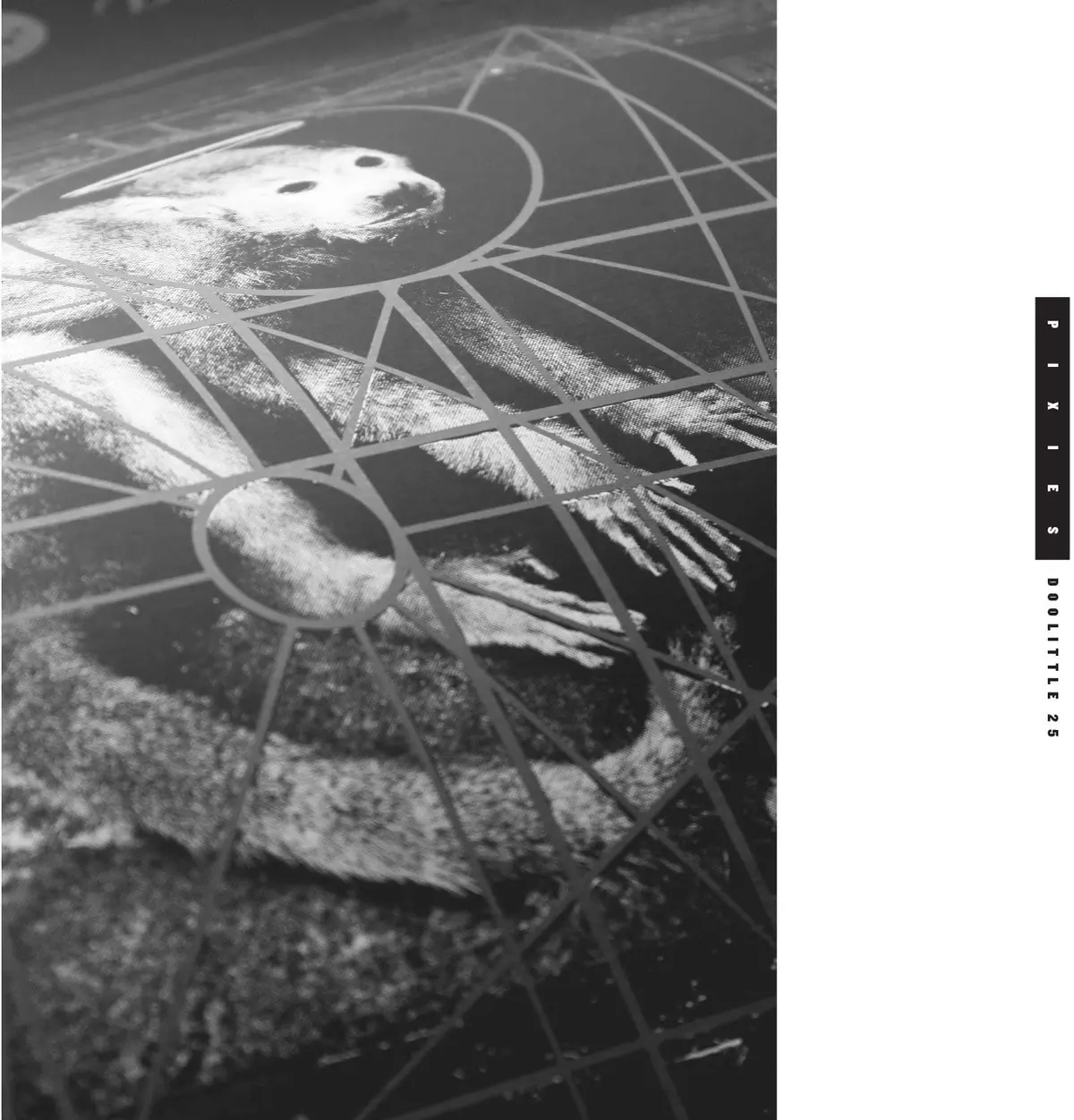 Pixies, The/Doolittle 25: B-Sides, Peel Sessions And Demos (3Cd) [Cd] 1