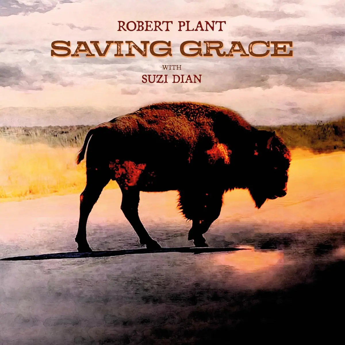 Plant, Robert/Saving Grace [Cd] 1