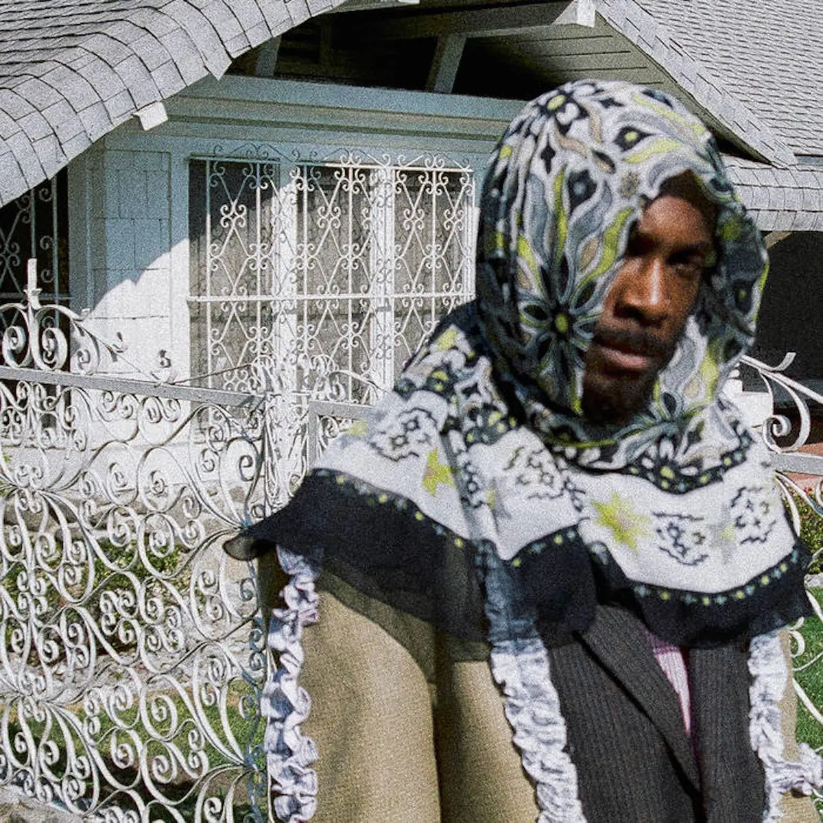 Jpegmafia/All My Heroes Are Cornballs [Lp] 1