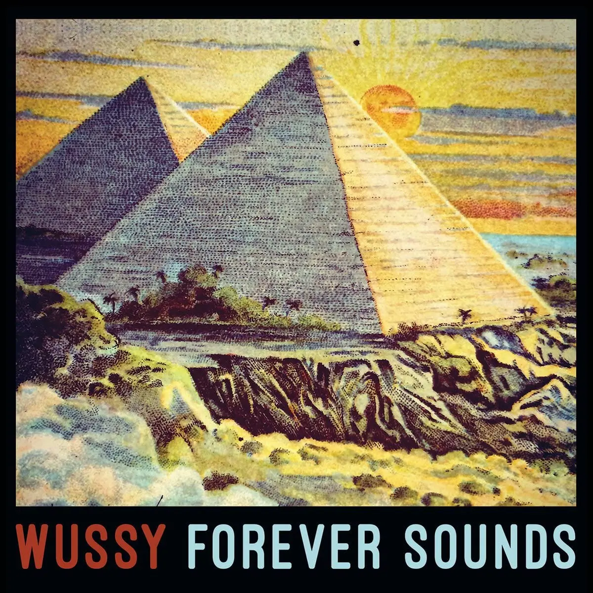 Wussy/Forever Sounds [Lp] 1