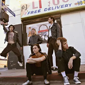 Neighbourhood, The/Hard To Imagine The Neighbourhood Ever Changing [Lp] 1
