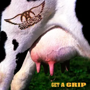 Aerosmith/Get A Grip (Black/White Split Vinyl) [Lp] 1