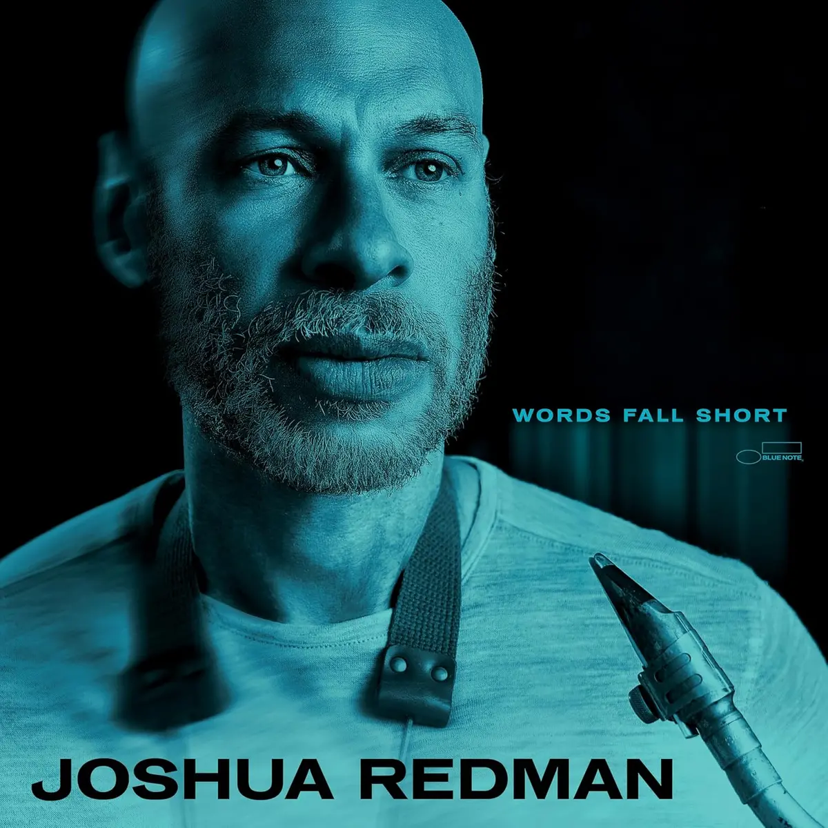 Redman, Joshua/Words Fall Short [Cd] 1