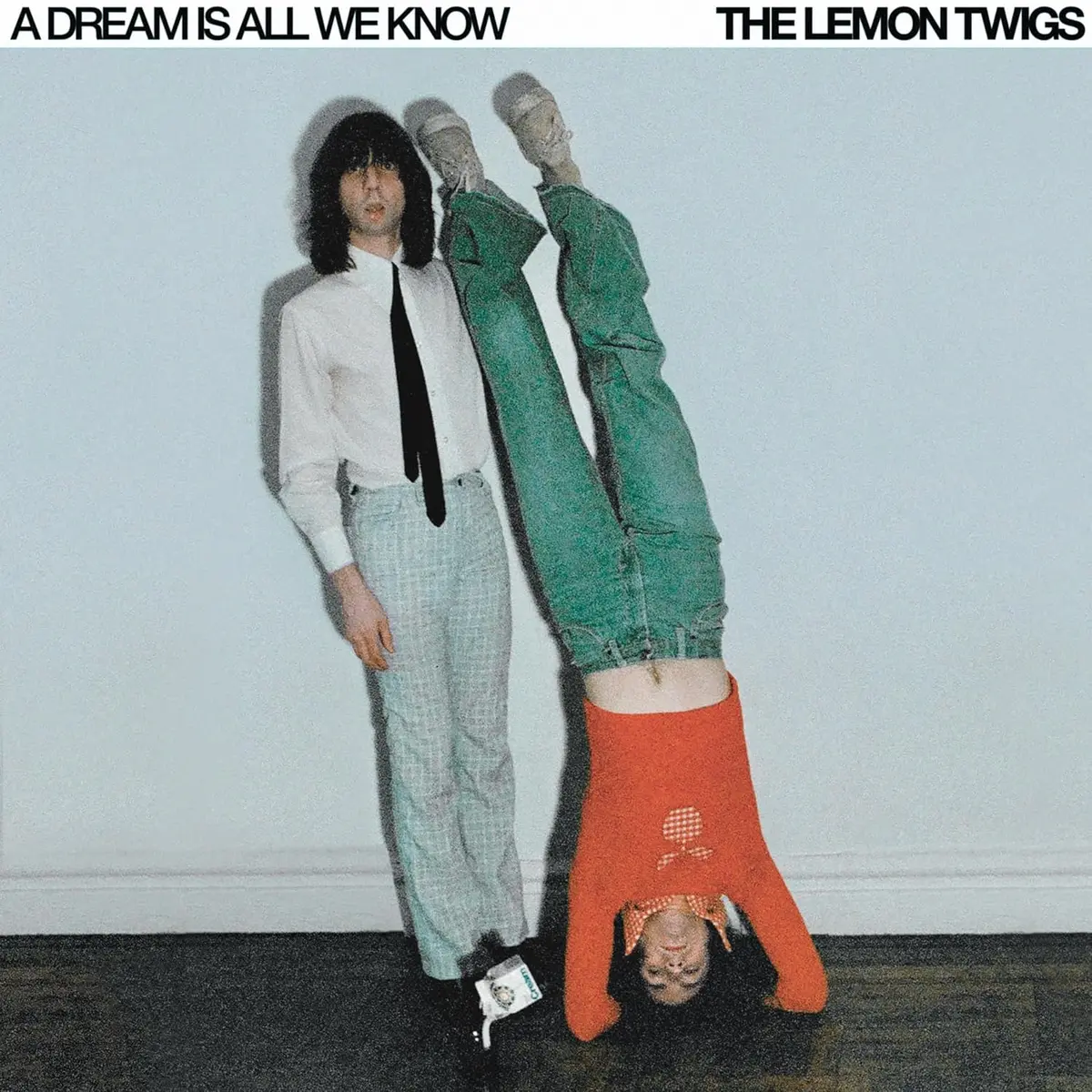 Lemon Twigs/A  Dream Is All We Know (Black Vinyl) [Lp] 1