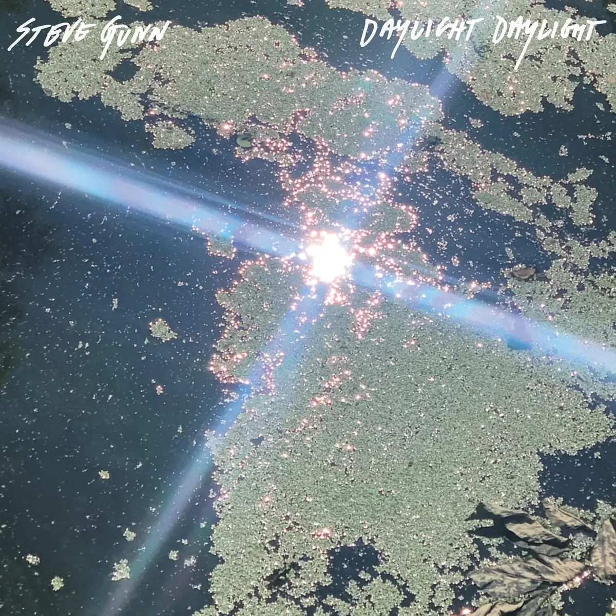 Gunn, Steve/Daylight Daylight [Cd] 1
