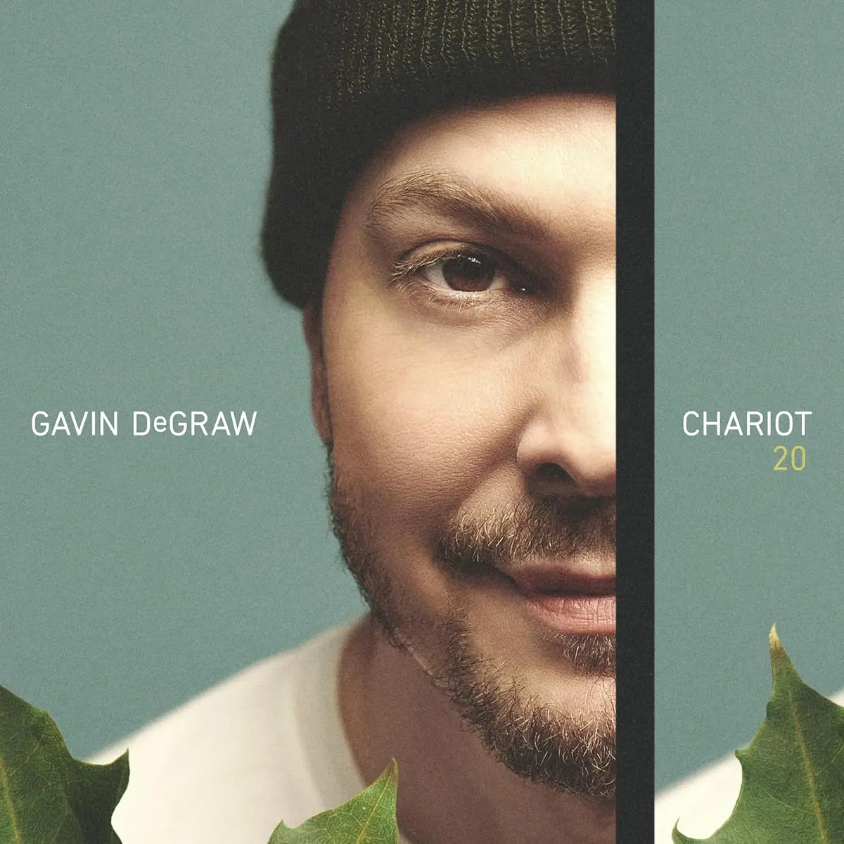 Degraw, Gavin/Chariot 20 [Cd] 1