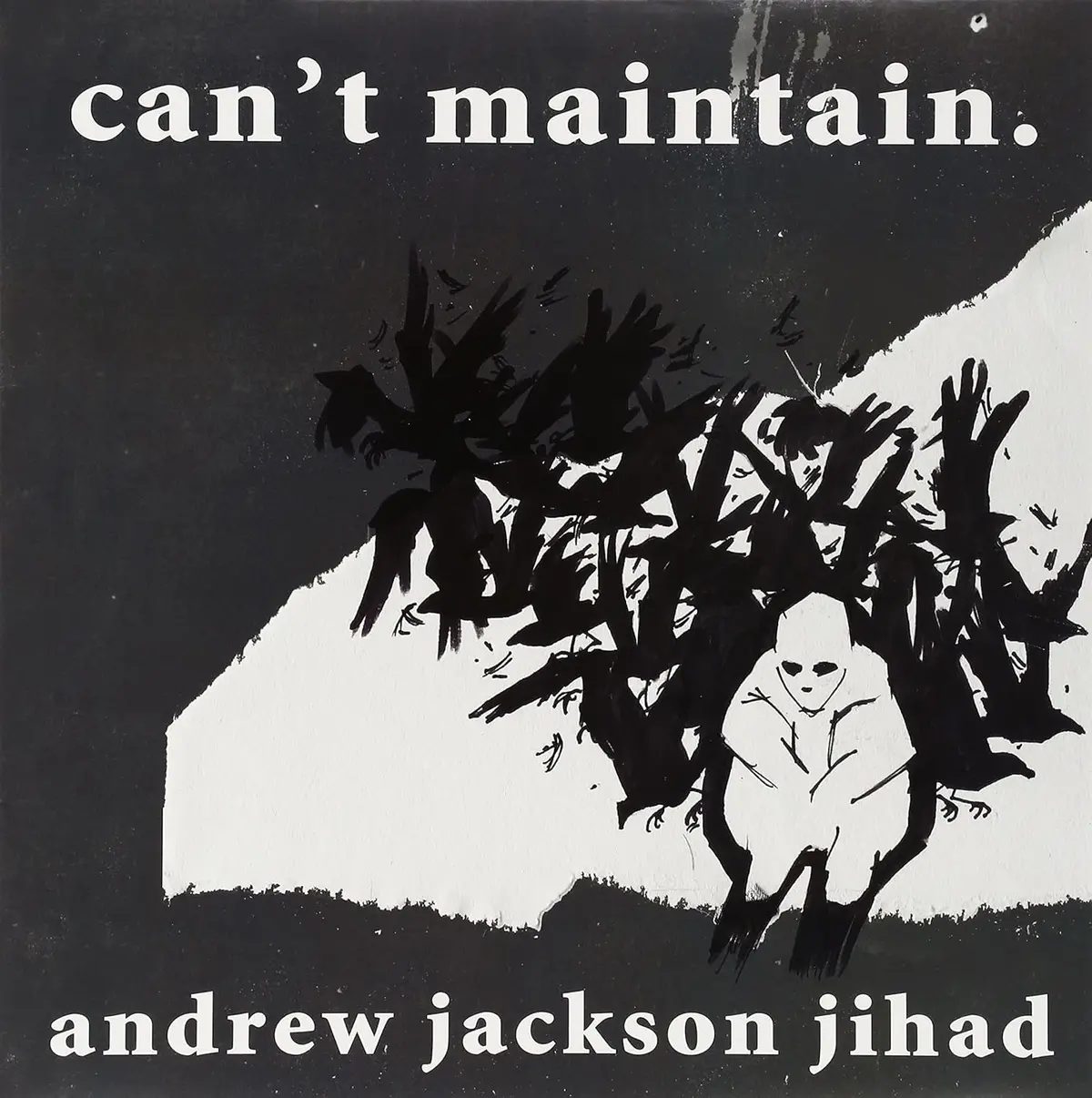 Andrew Jackson Jihad/Can't Maintain [Lp] 1