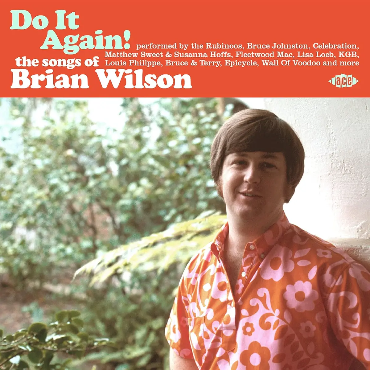 Various Artists/Do It Again!: The Songs Of Brian Wilson [Cd] 1