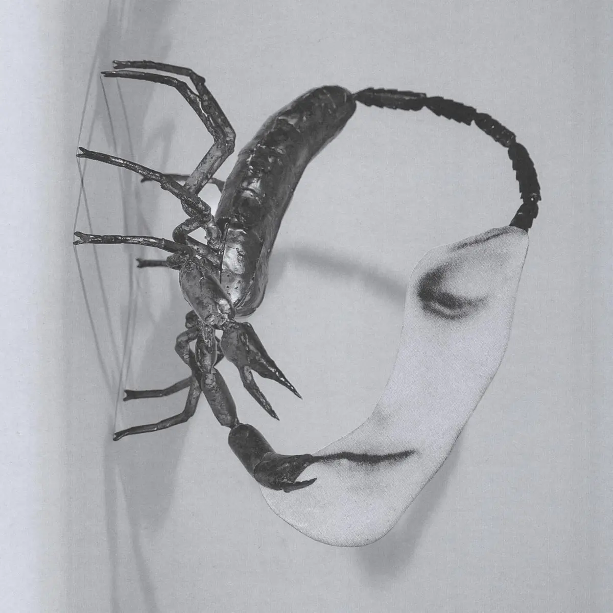Tortoise/Touch [Cd] 1