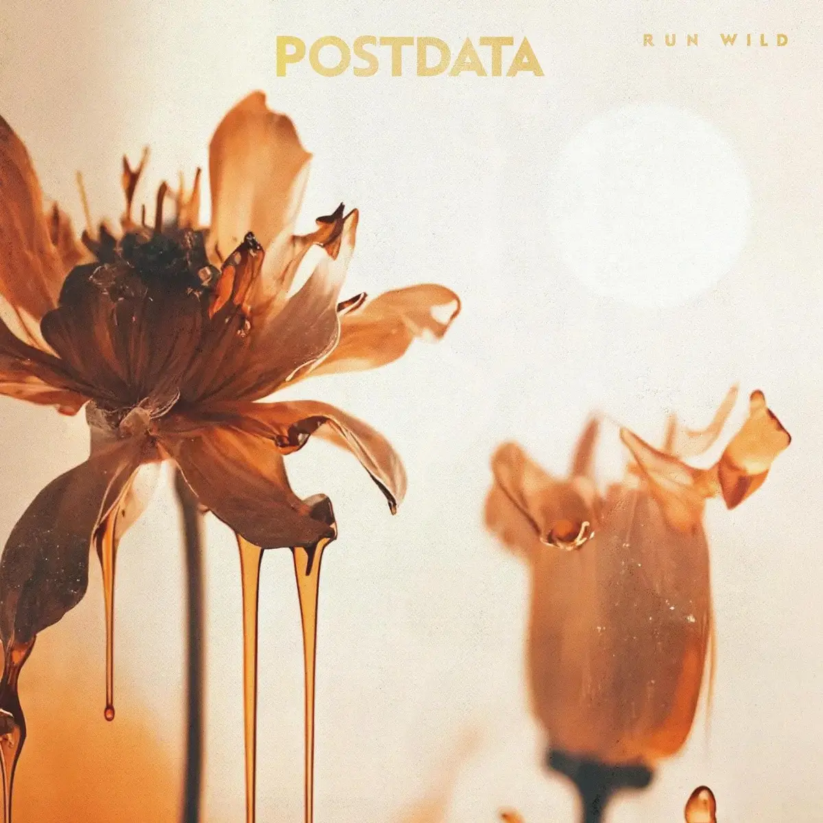 Postdata/Run Wild (Plum Coloured Vinyl) [Lp] 1