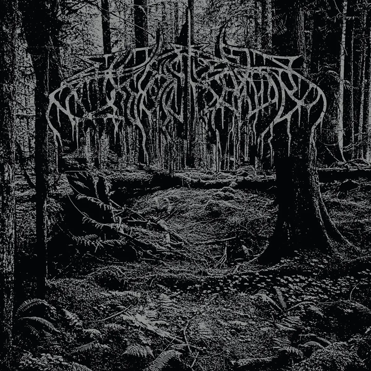 Wolves In The Throne Room/2005 Demo (Black Ice Vinyl) [Lp] 1