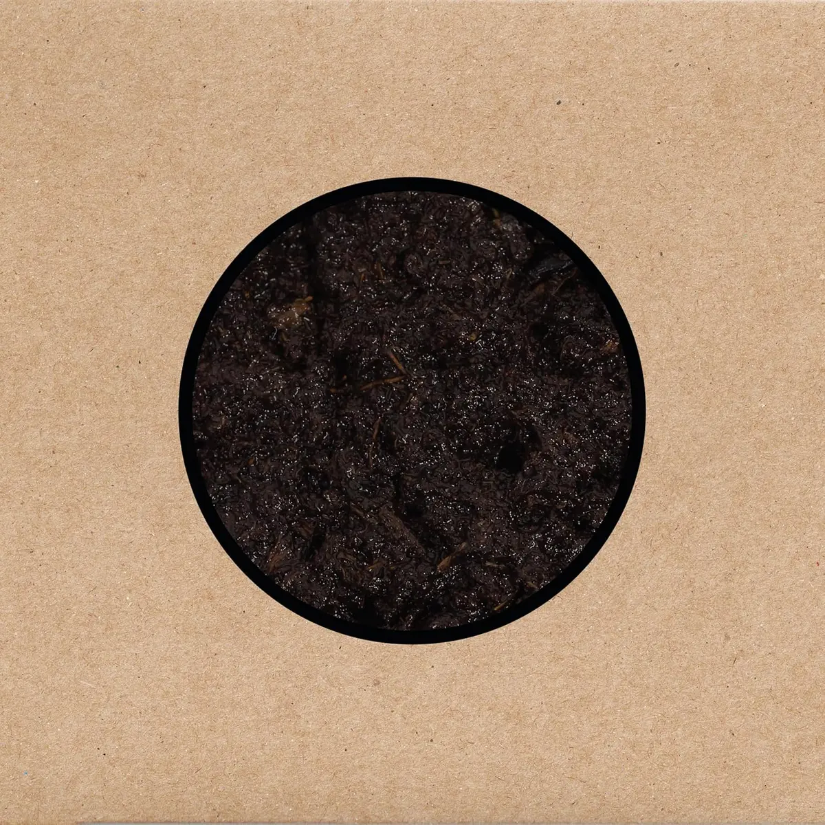Swans/Birthing (3Cd) [Cd] 1