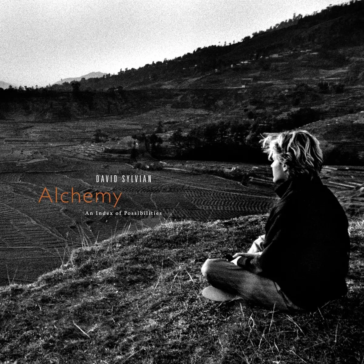 Sylvian, David/Alchemy: An Index Of Possibilities (Gold/Red Vinyl) [Lp] 1