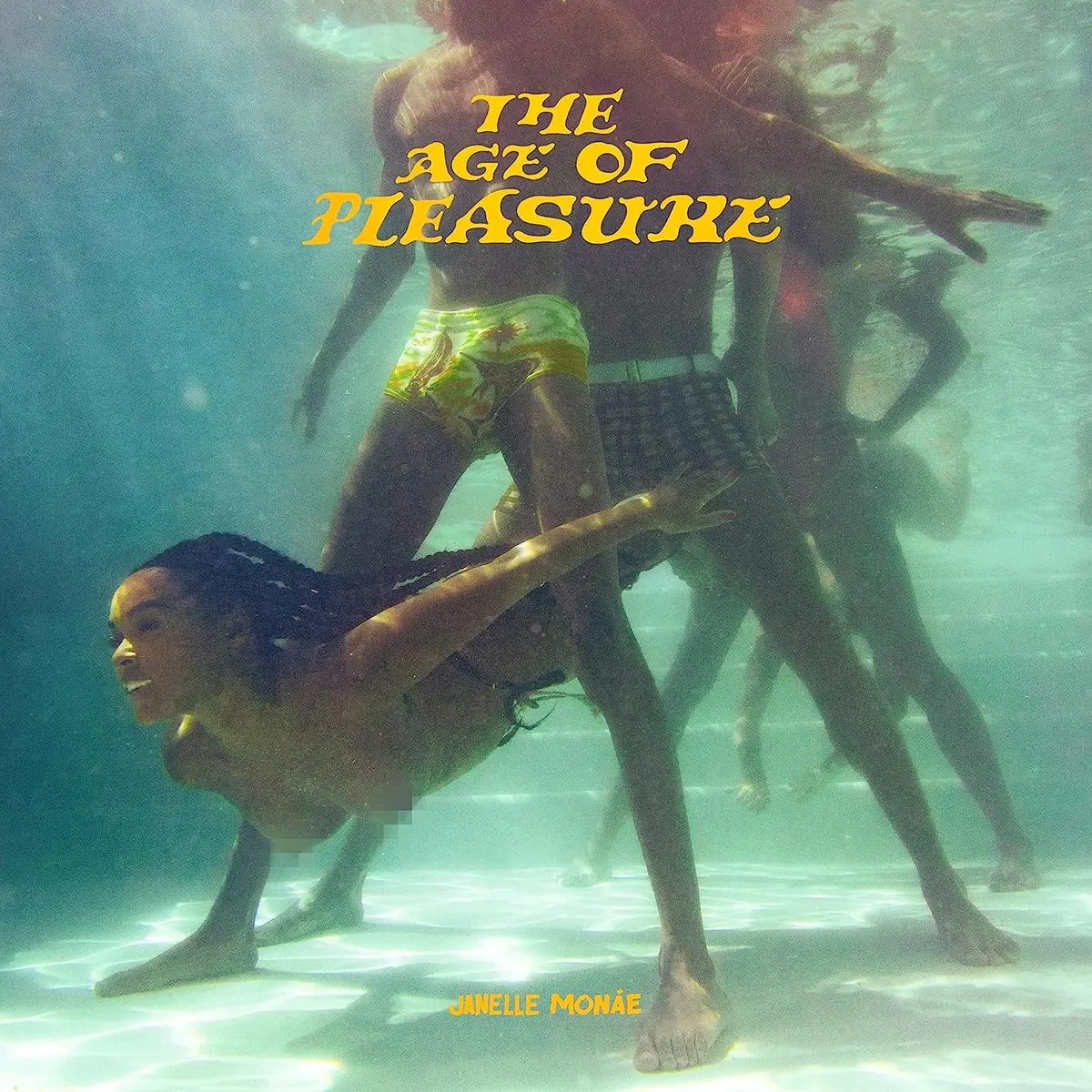 Monae, Janelle/The Age Of Pleasure [Cd] 1