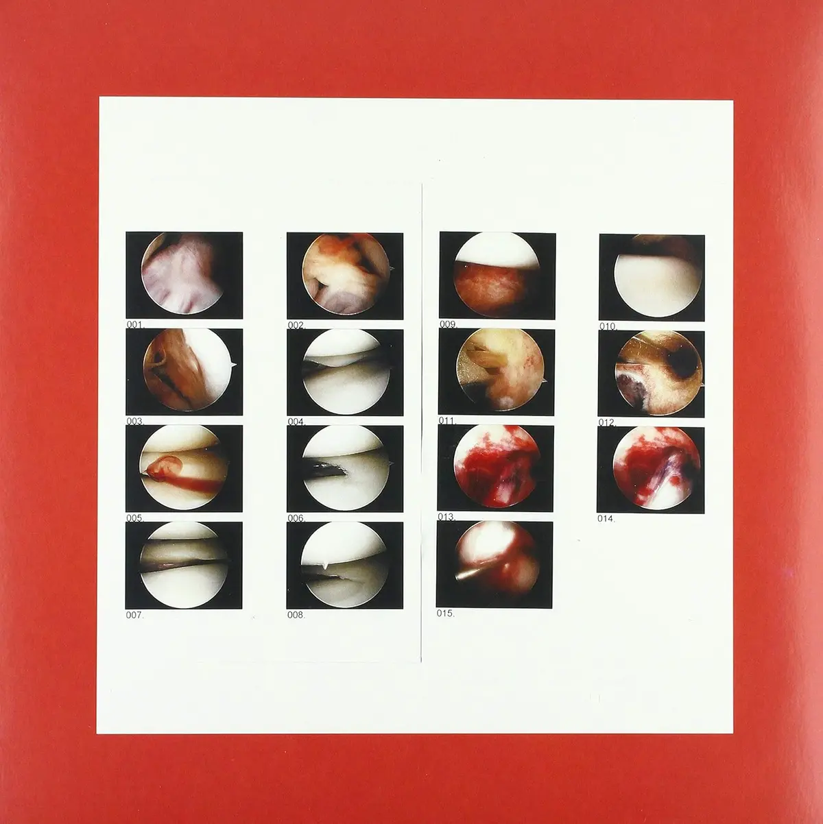 Cradle, The/Laughing In My Sleep (Coke Bottle Green Vinyl) [Lp] 1