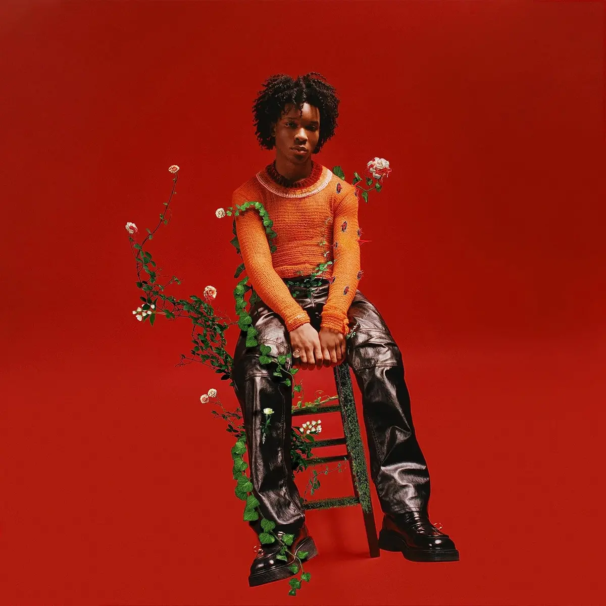 D4vd/Petals To Thorns [Lp] 1