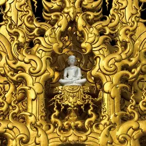 Yob/Catharsis (Gold Nugget Vinyl) [Lp] 1
