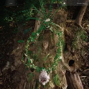 Pharmakon/Maggot Mass (Transparent Seaweed Coloured) [Lp] 1