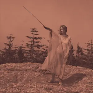 Unknown Mortal Orchestra/Ii: 10Th Anniversary (Aluminum Vinyl) [Lp] 1