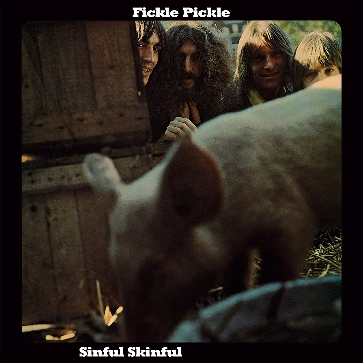 Fickle Pickle/Sinful Skinful [Lp] 1