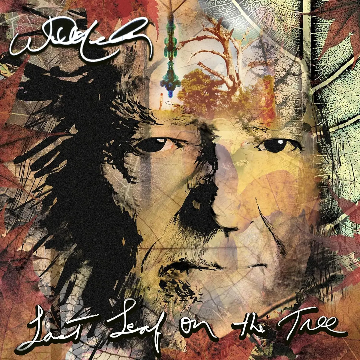 Nelson, Willie/Last Leaf On The Tree [Lp] 1