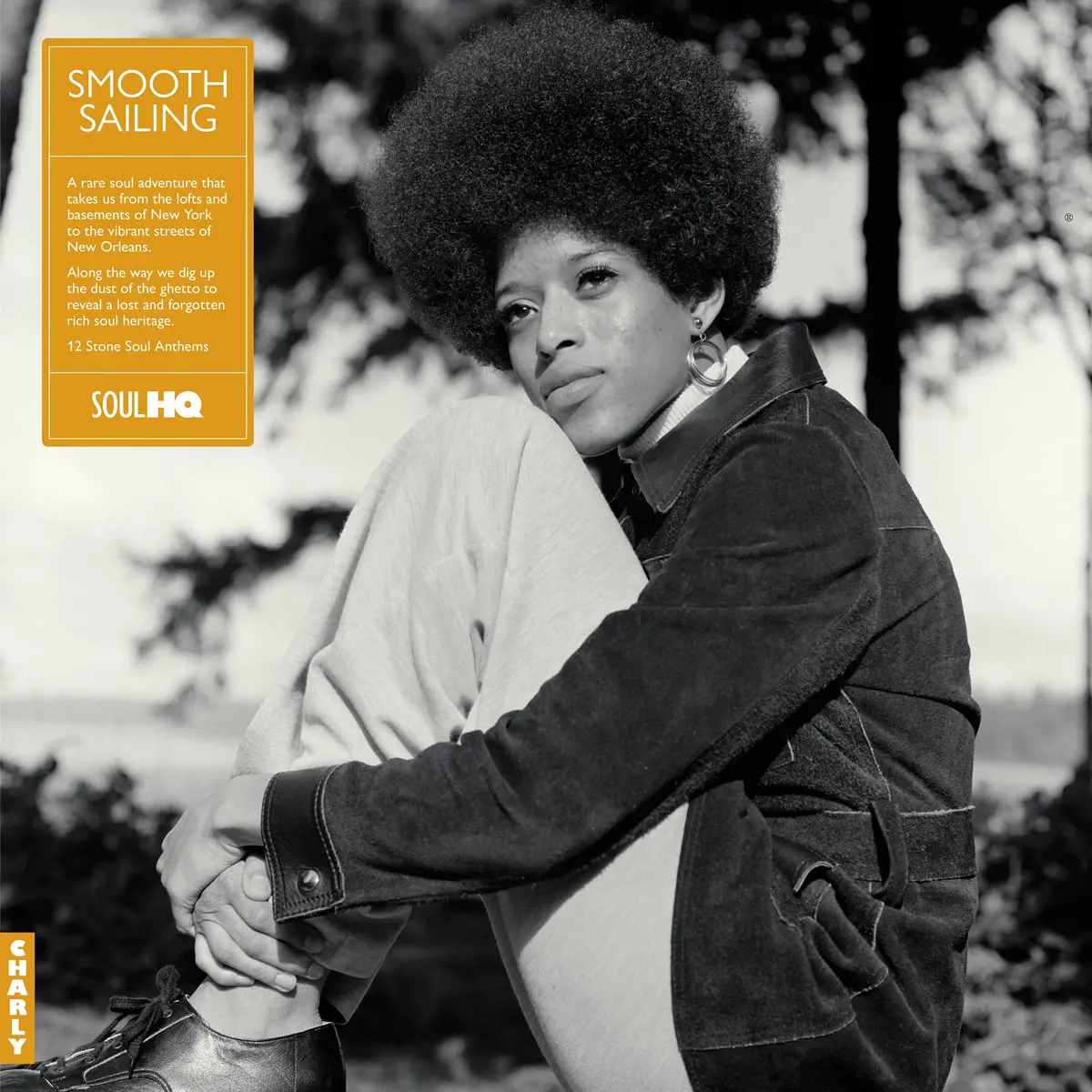 Various Artists/Smooth Sailing: A Rare Soul Adventure [Lp] 1
