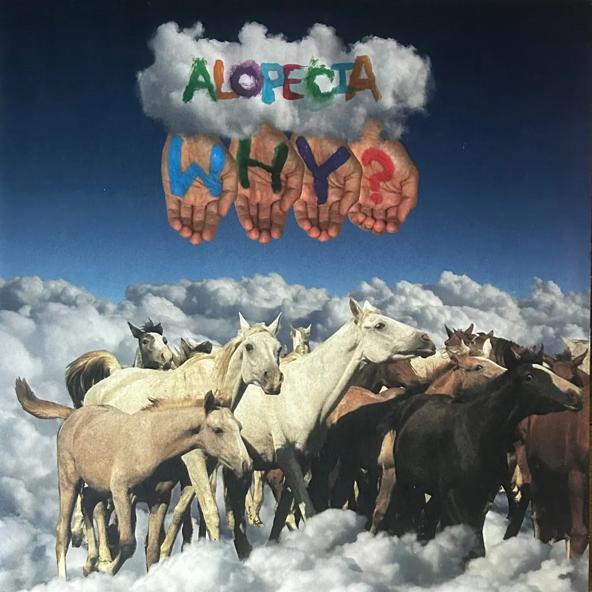 [Used Lp] Why? / Alopecia 1