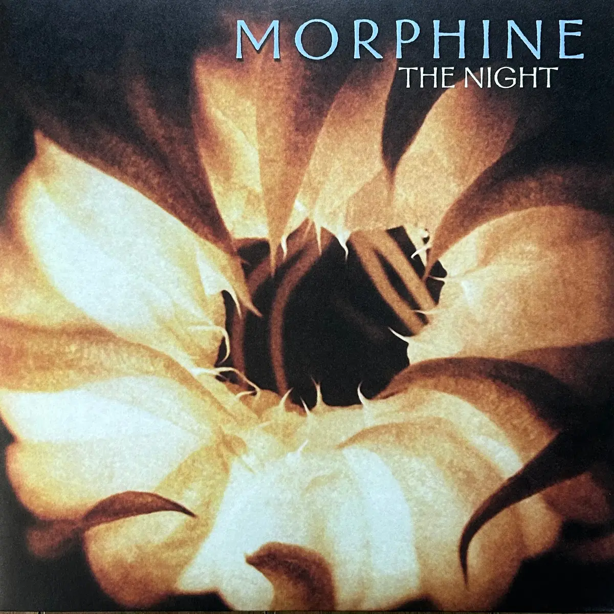 [Used Lp] Morphine / The Night 1