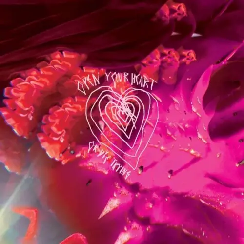 Arcade Fire/Open Your Heart Or Die Trying (Black Revinyl) [Lp] 1