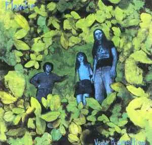 Elevator Through/Vague Premonition: Extra Edition (Coloured Vinyl) [Lp] 1