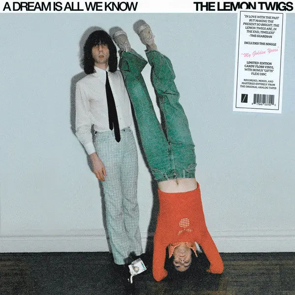 Lemon Twigs/A Dream Is All We Know (Ice Cream Coloured Vinyl) [Lp] 1