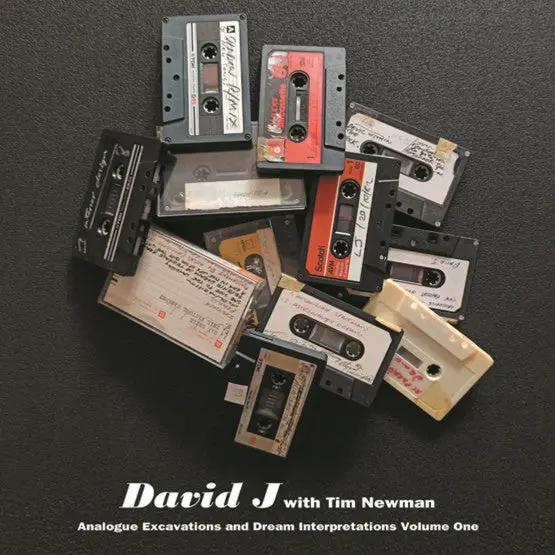 David J With Tim Newman/Analogue Excavations & Dream Interpretation Vol. 1 [Lp] 1
