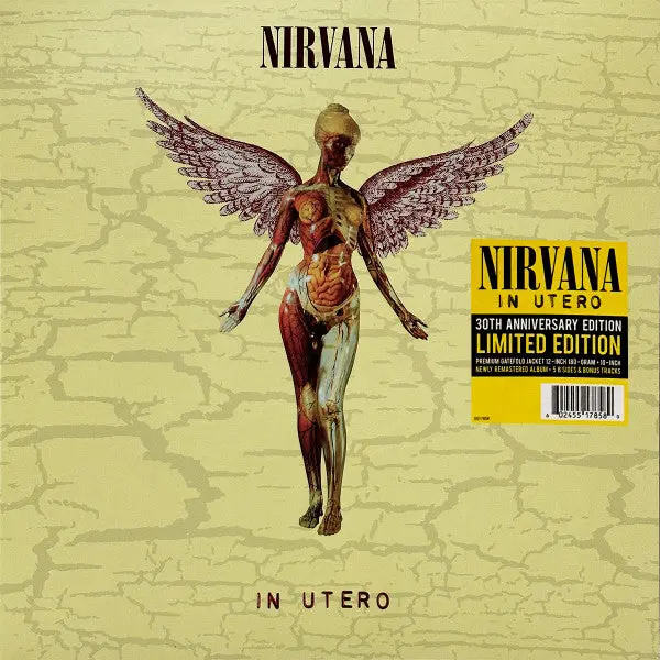 Nirvana/In Utero (30Th Ann. With Bonus 10") [Lp] 1