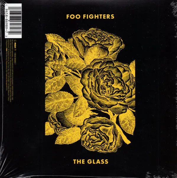 H.E.R. X Foo Fighters/The Glass [7"] 1