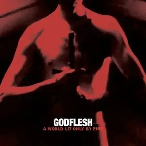Godflesh/A World Only Lit By Fire (Red Vinyl) [Lp] 1