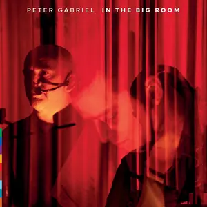 Gabriel, Peter/In The Big Room (2Cd) [Cd] 1