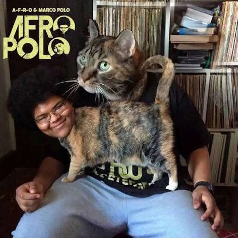 A-F-R-O & Marco Polo/A-F-R-O Polo [Lp] 1