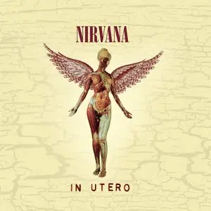 Nirvana/In Utero (30Th Ann.) [Cd] 1