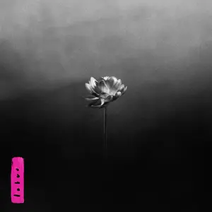 Little Simz/Lotus [Cd] 1
