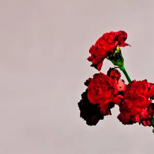 Legend, John/Love In The Future [Lp] 1