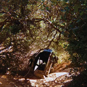 Segall, Ty/Possession [Lp] 1