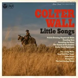 Wall, Colter/Little Songs [Cd] 1