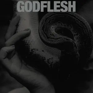 Godflesh/Purge [Lp] 1