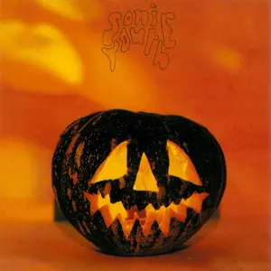 Sonic Youth/The Walls Have Ears [Lp] 1