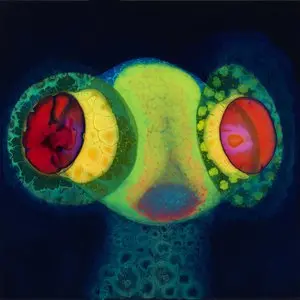 Osees/Sorcs 80 [Cd] 1