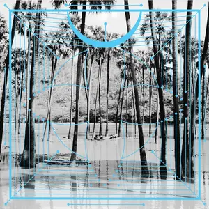 Four Tet/Pink (2Lp Half Speed Master) [Lp] 1